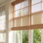 Living Room Blinds Ideas